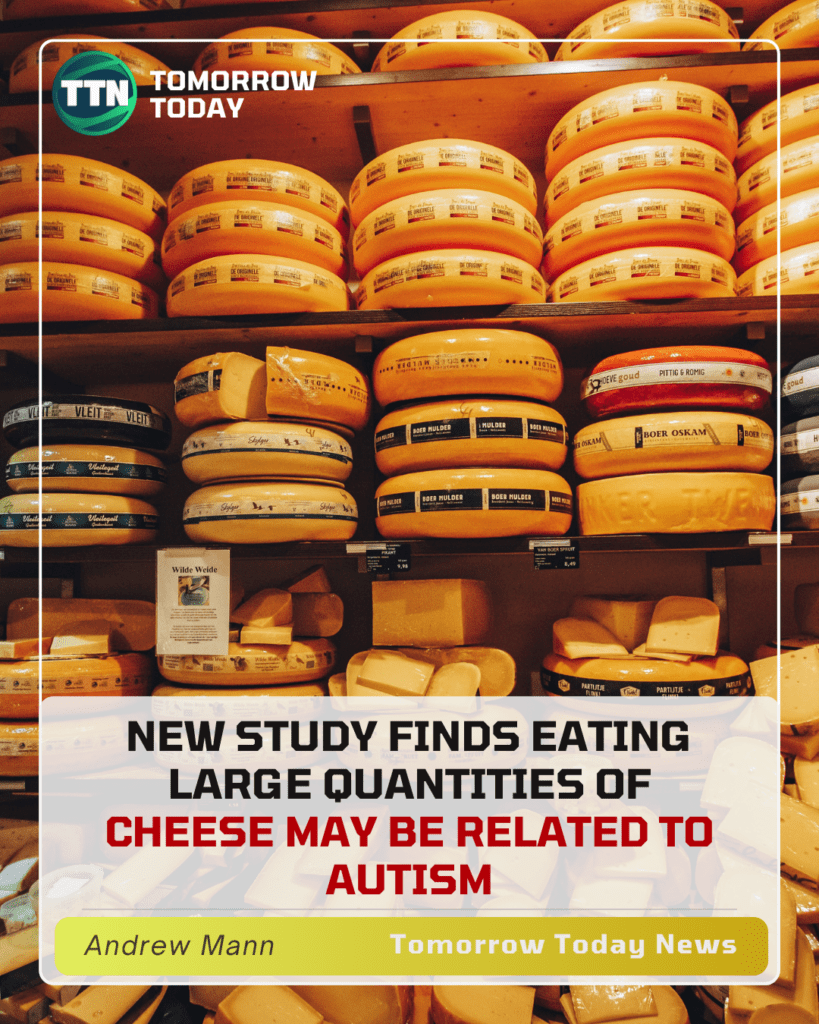 cheese autism post